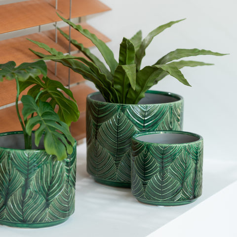 übertopf-tropisch-keramik-grün